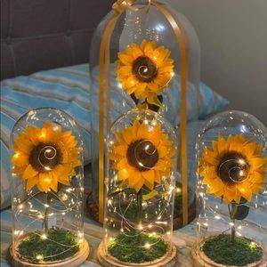 Meet your Posher, Shelly